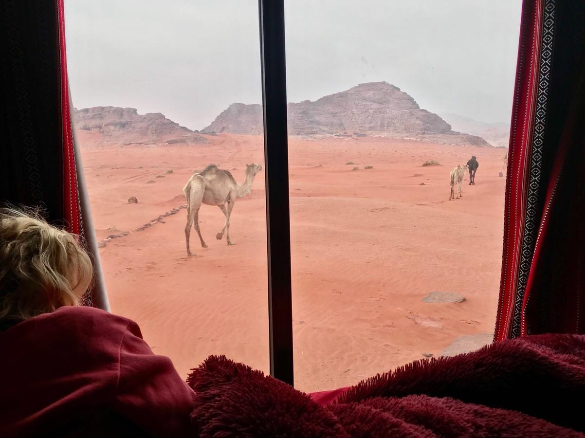 Wadi Rum Starlight Camp Εξωτερικό φωτογραφία